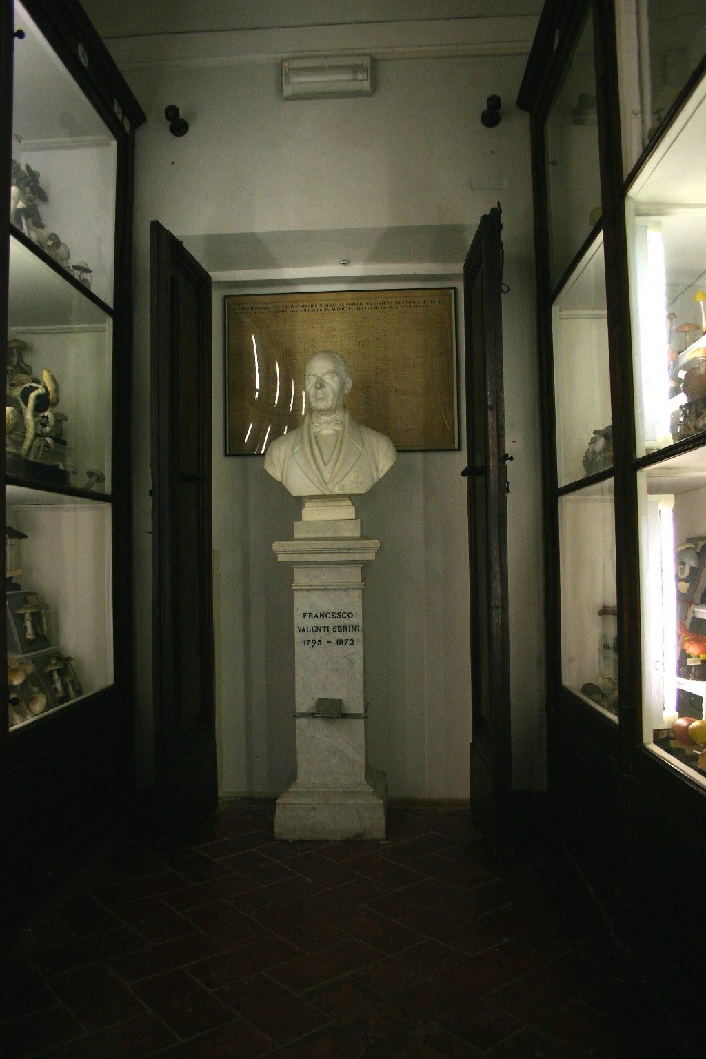 Sala Francesco Valenti Serini, Accademia dei Fisiocritici, Siena, Italy - 02.JPG